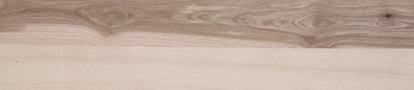 essence de frêne olivier